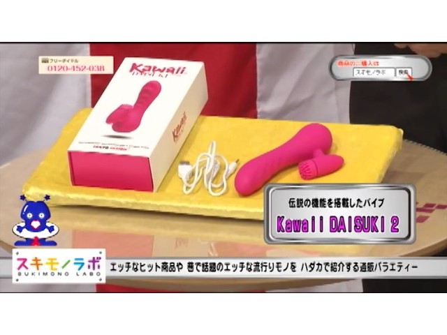 【値下げしました！】Kawaii DAISUKI 　2 セット【ローター付！】