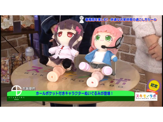 ぬいホール　セット