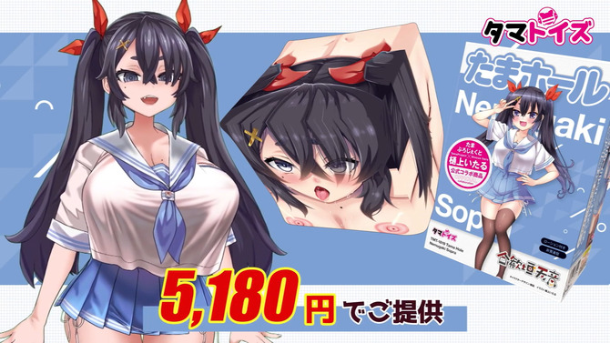 合歓垣天音 箱化インサートエアピローオールインワン セット 商品説明画像14