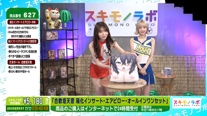 合歓垣天音 箱化インサートエアピローオールインワン セット 商品説明画像16