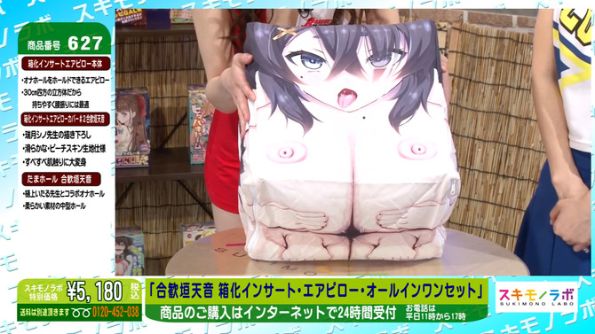 合歓垣天音 箱化インサートエアピローオールインワン セット 商品説明画像15
