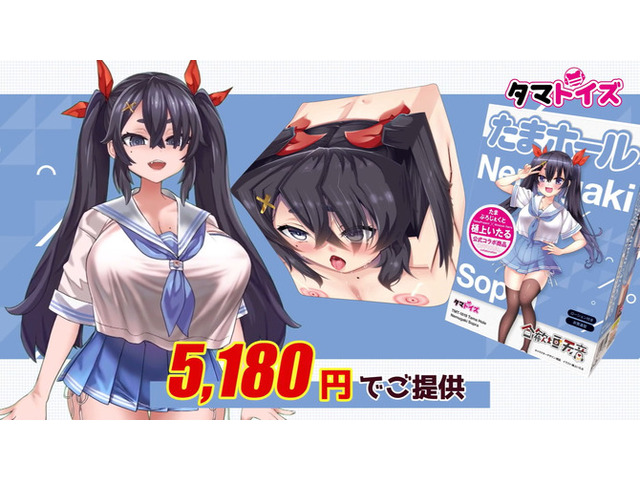 合歓垣天音 箱化インサートエアピローオールインワン セット