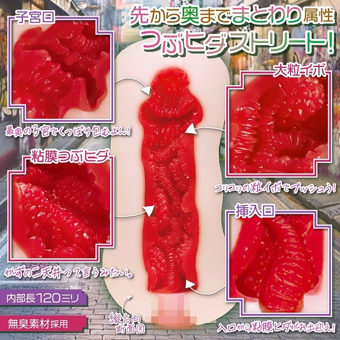 アオハルエンチャント セット【M-ZAKKA限定!!数量限定550ポイント還元！】 商品説明画像8