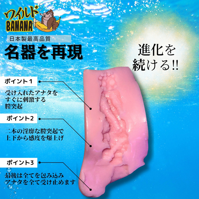 ワイルドBANANA　るみなホール　セット 商品説明画像10