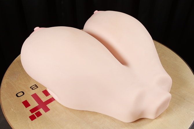 ダヴィガキ理解らせおっぱい 超乳対話ば～じょん♪  セット【数量限定！あらと安里先生直筆サイン入り２Lイラスト生写真付き!!】 商品説明画像5