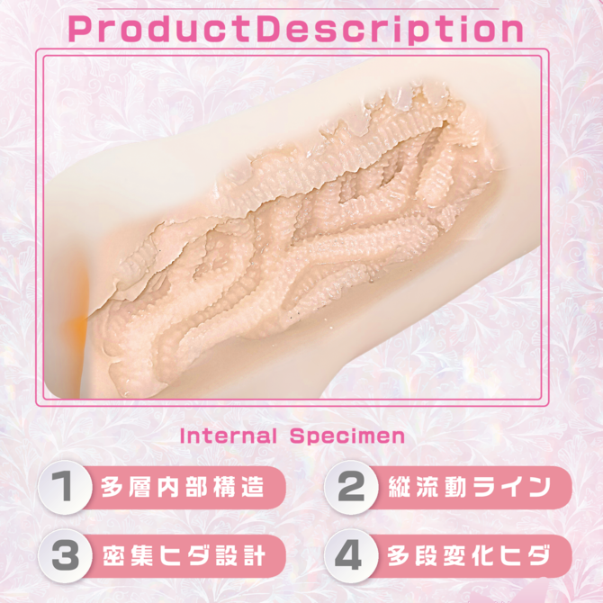 Magiceyes 感触標本　セット 商品説明画像8
