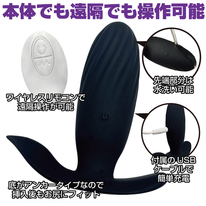 ANALyze Plug EX リモートバイブレーション 商品説明画像4