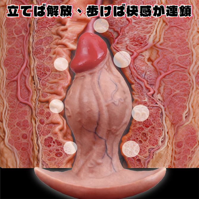 【爆拡張感　Ｄｉｃｋ　Ｐｌｕｇ】Ｌ　Ｓｉｚｅ（ＤＰ－１０３） 商品説明画像6