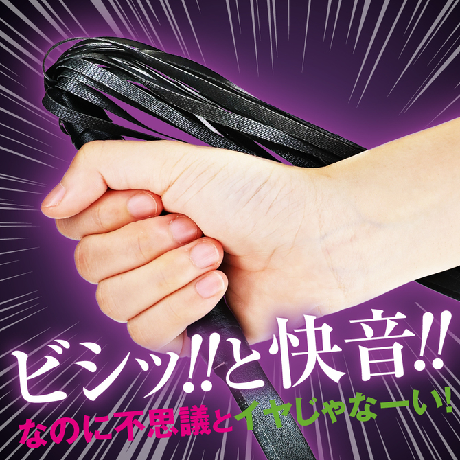 快感ウィップ ロング 商品説明画像2