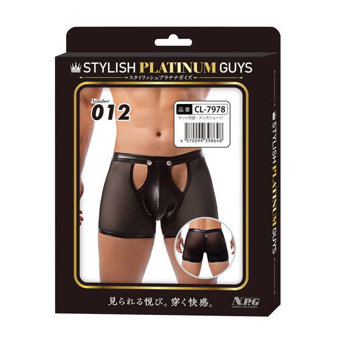 スタイリッシュプラチナガイズ Number 012 商品説明画像1