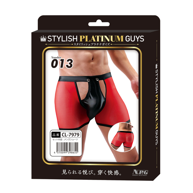 スタイリッシュプラチナガイズ Number 013 商品説明画像1