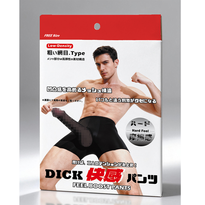 【ＤＩＣＫ快感パンツ】粗い網目．Ｔｙｐｅ　　ブラック（ＦＣＰ－１０４） 商品説明画像1