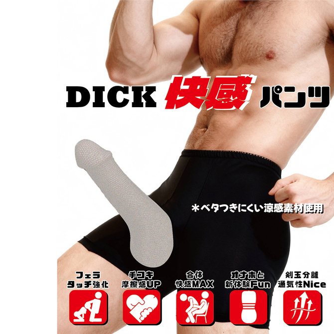 【ＤＩＣＫ快感パンツ】粗い網目．Ｔｙｐｅ　　ブラック（ＦＣＰ－１０４） 商品説明画像3