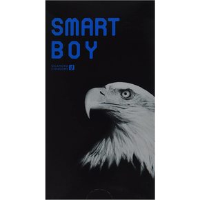 SMART BOY(スマート ボーイ) 1箱12個入