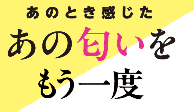 生意気なJ〇の匂い	TMT-1799 商品説明画像8