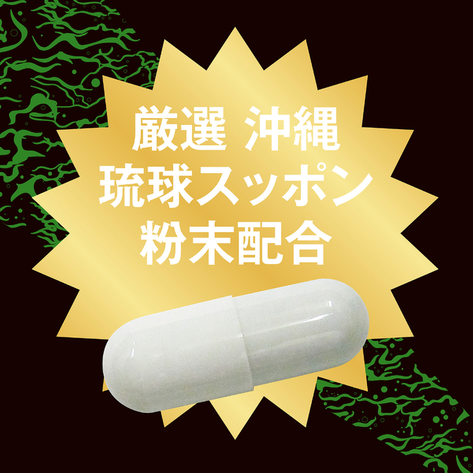 ストロングＤ　スッポン　ハードカプセル　５回分     UGAN-358 商品説明画像2