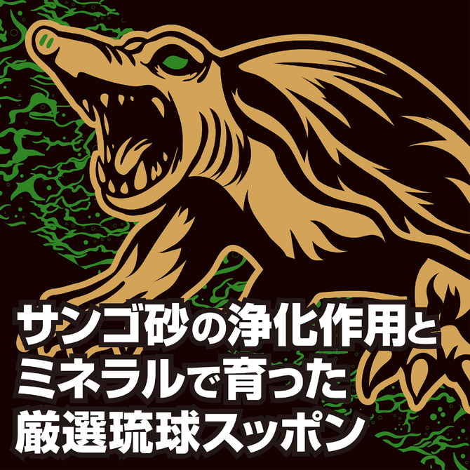 ストロングＤ　スッポン　ハードカプセル　５回分     UGAN-358 商品説明画像3