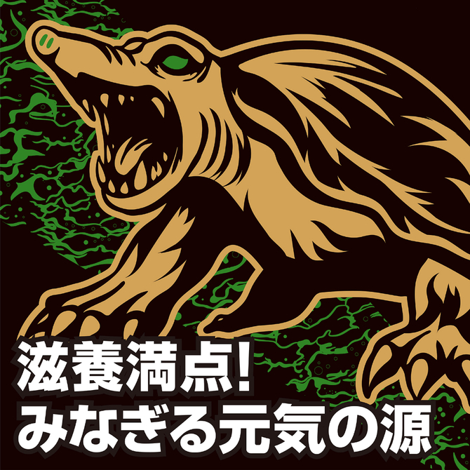 ストロングＤ　スッポン　ハードカプセル　お試し用５個綴り 商品説明画像4