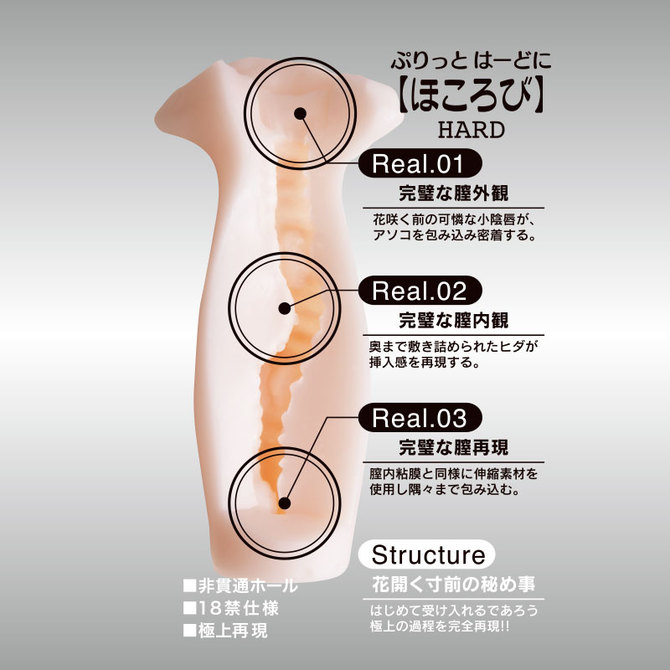 あそこだけ再現しちゃいました。ほころびハード 商品説明画像4