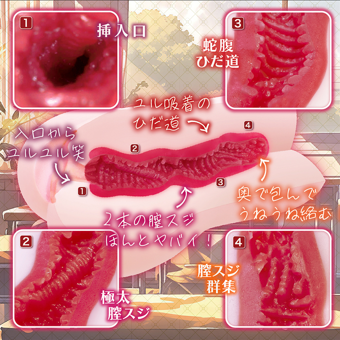 麗しのサセコ先輩     NTWA-014 商品説明画像3