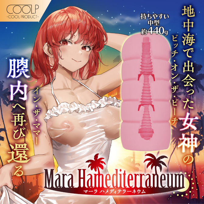 Mara　Hamediterraneum（マーラ　ハメディテラーネウム）（ＣＯＯＬＰ２４） 商品説明画像2