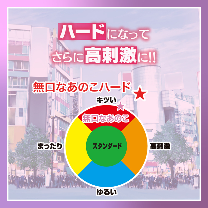 無口なあのこ ハード【数量限定！】 商品説明画像5