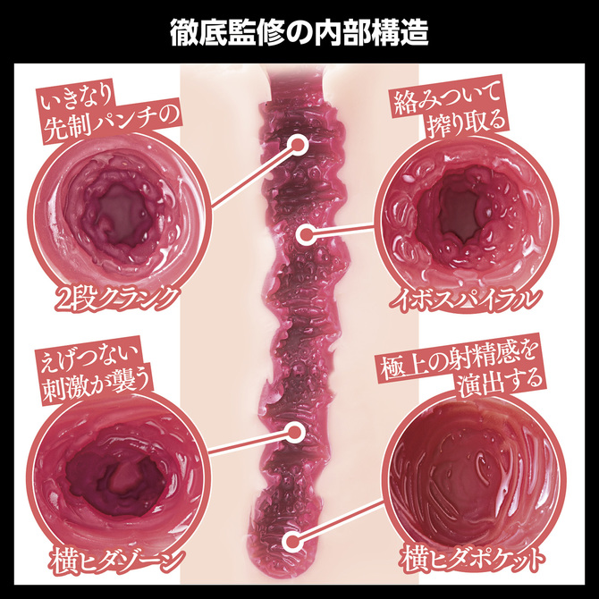 日本の名器　月野かすみ 商品説明画像7