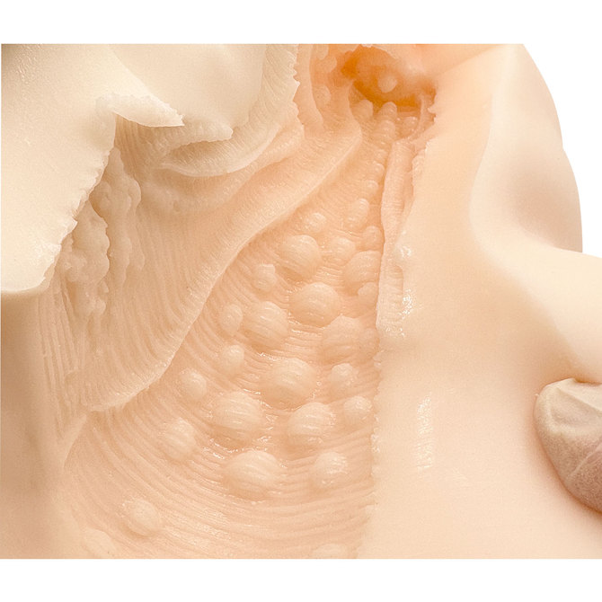 PEACH TOYS 床オナ式ZERO NE-Backss【ハード】 商品説明画像10