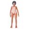 ĂDOLL	TAMS-1355yM-ZAKKA!!ʌZ[[t!!z