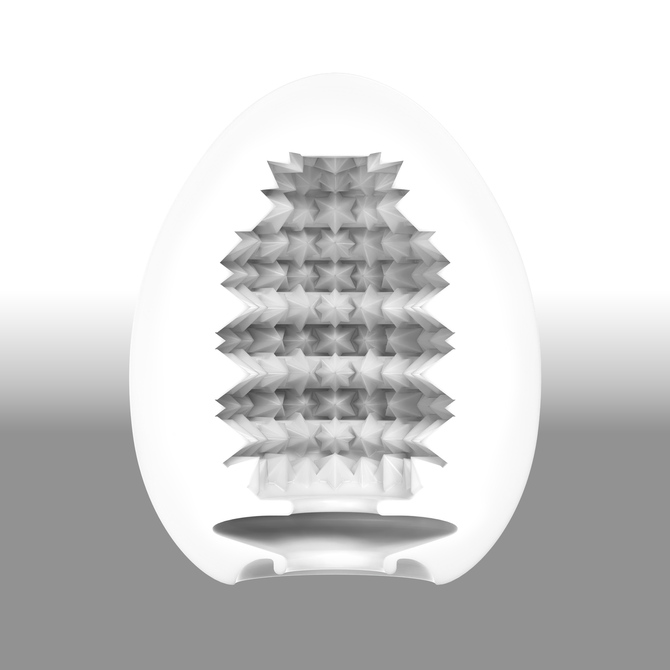 TENGA EGG STARRY	テンガエッグスターリー	EGG-R02 商品説明画像2