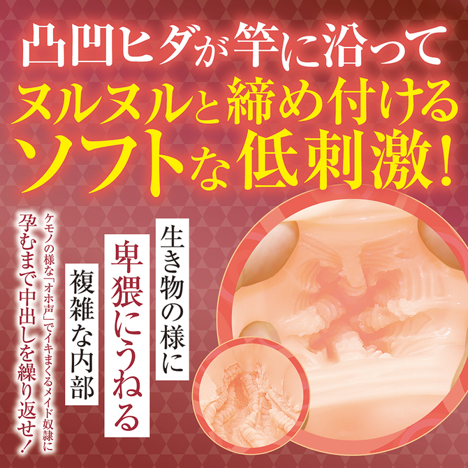 私は肉便器メイドになると○○誓約書にサインしました。ソフト	TMPR-059 商品説明画像4