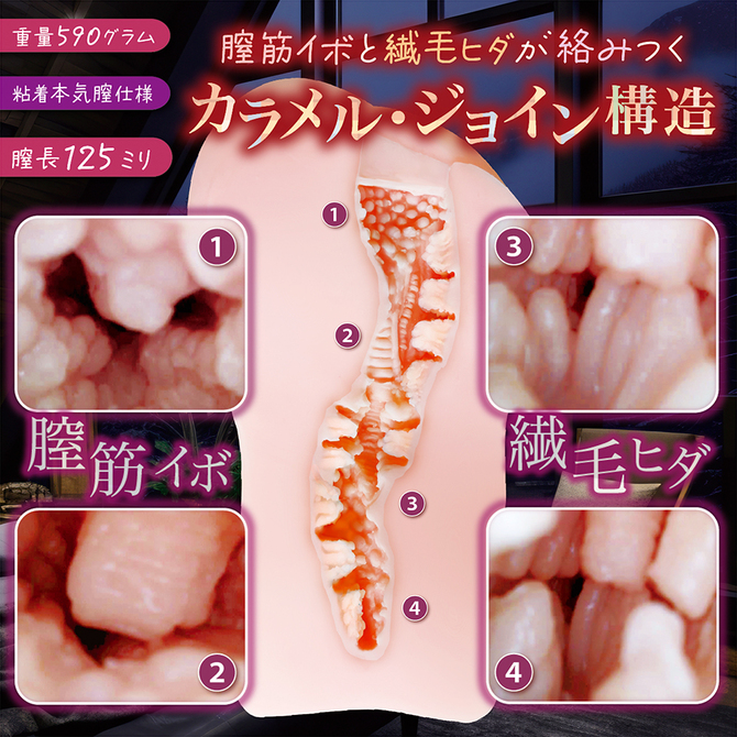 寝取られ淫モラル	NTWA-028 商品説明画像2