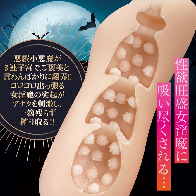 ご褒美サキュバス 商品説明画像4