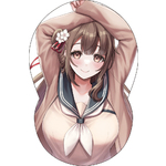 おっぱいボードカバー＃100 SAHARA	TAMS-1374