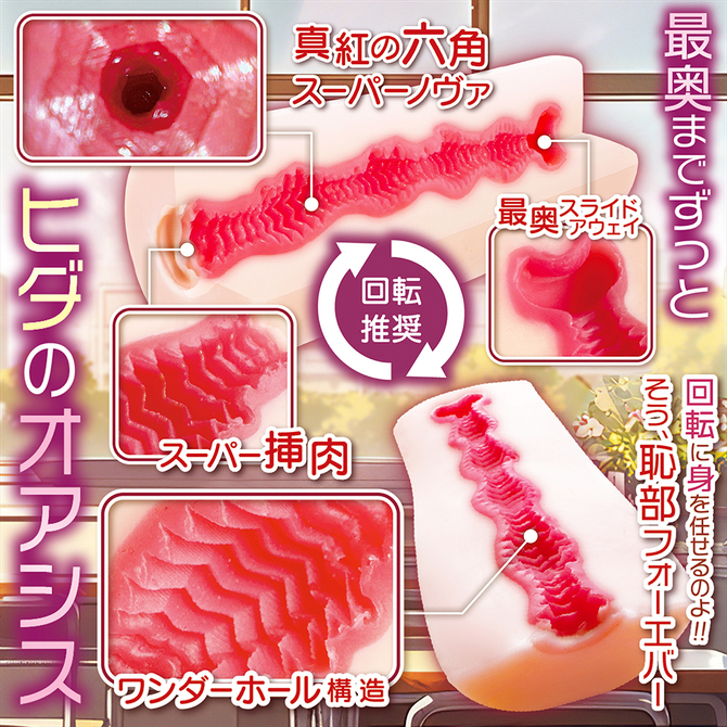 ［回転推奨］　ろーる　うぃ　ずっと（Roll　with　it）     NTWA-031 商品説明画像2
