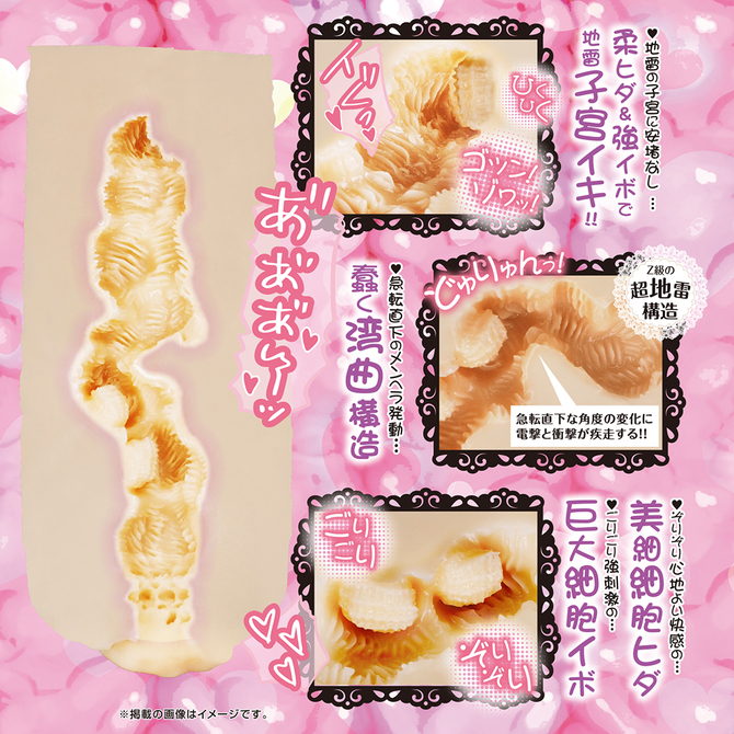 Ligre japan 膣細胞 Ligre-0323 商品説明画像6