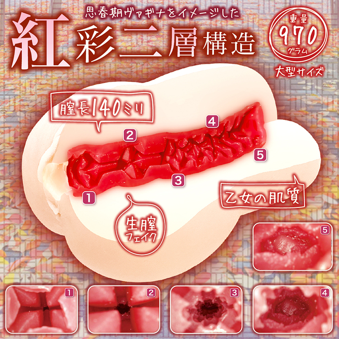 思春期サンクチュアリ     NTWA-032 商品説明画像5