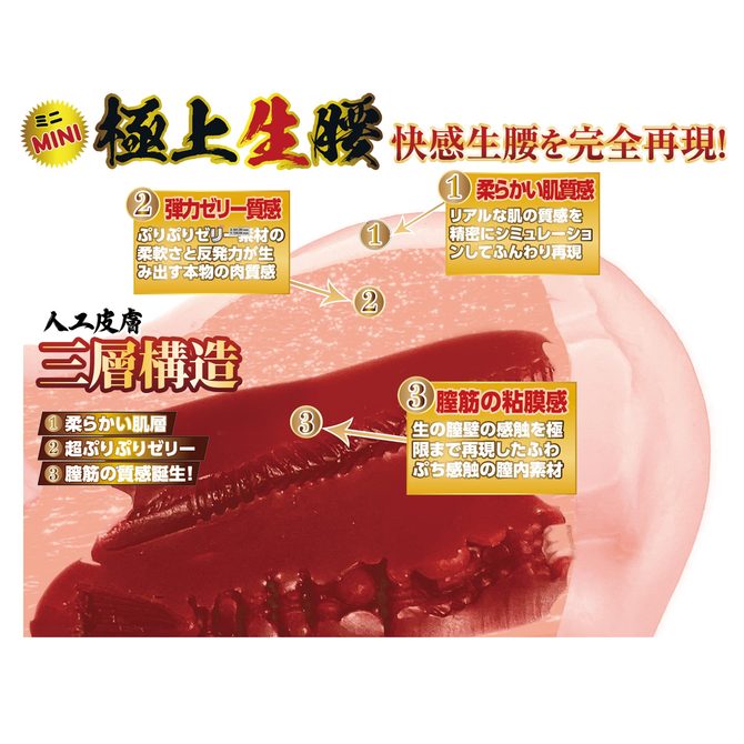 極上生腰 ミニ 森日向子 商品説明画像3