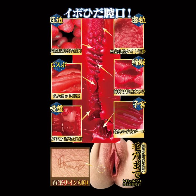 名器創生2 田中レモン 商品説明画像4