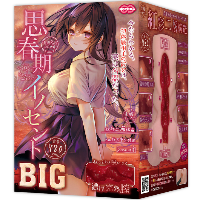 思春期イノセントＢＩＧ     NTWA-018 商品説明画像1