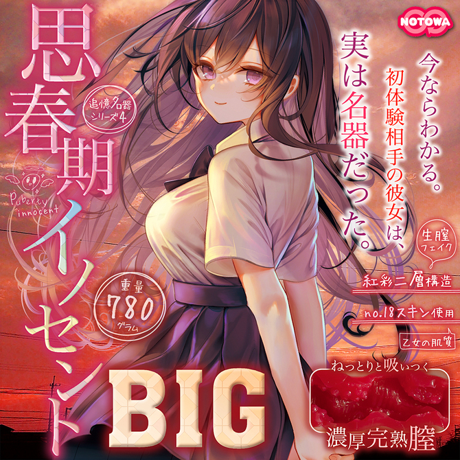思春期イノセントＢＩＧ     NTWA-018 商品説明画像5
