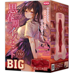 思春期イノセントＢＩＧ     NTWA-018