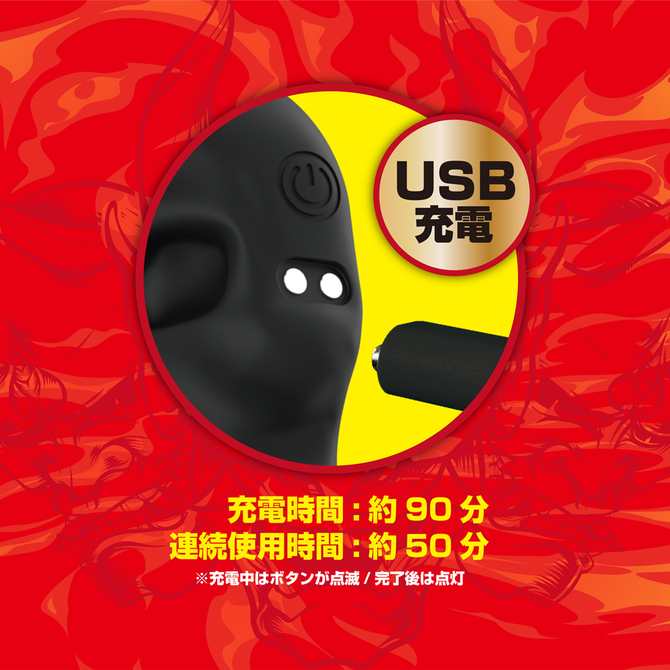 性豪の鬼 商品説明画像6