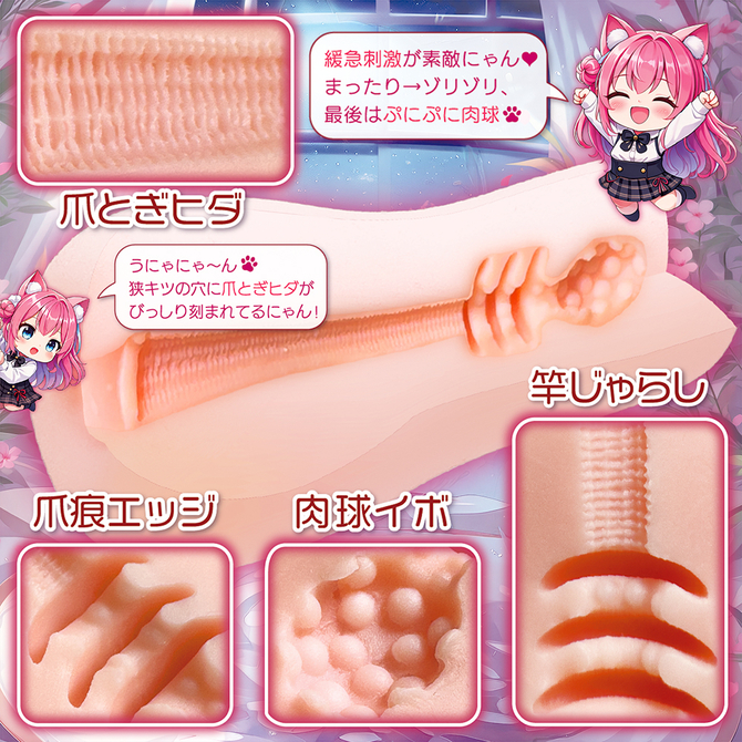 ゴロにゃん淫ぱるす！ NTWA-048 商品説明画像3