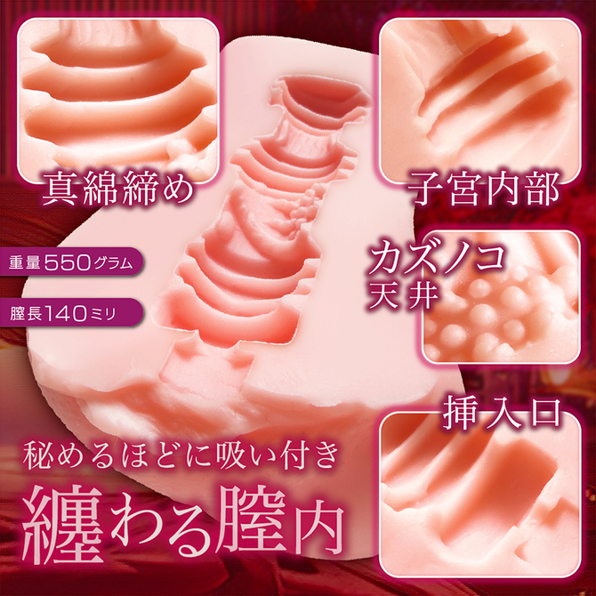 秘めごと淫モラル NTWA-051 商品説明画像3