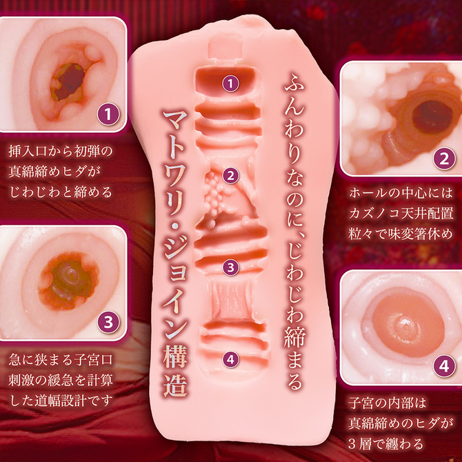秘めごと淫モラル NTWA-051 商品説明画像5