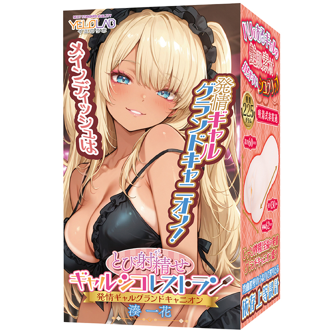 とび射精せ ギャルシコレストラン 発情グランドキャニオン 湊一花【コリコリ湾曲構造で濃厚ご奉仕】 商品説明画像1