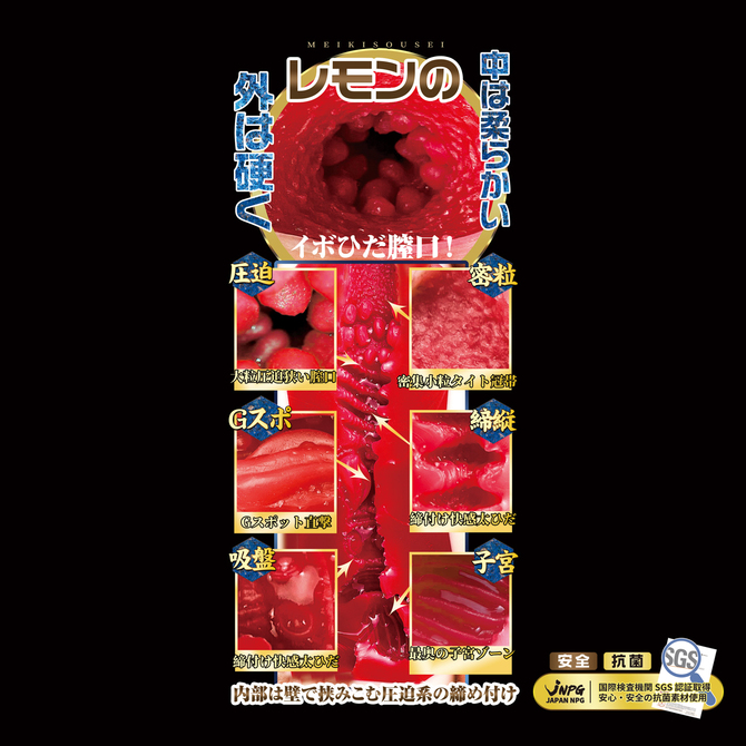 電動 名器創生2 田中レモン 商品説明画像4