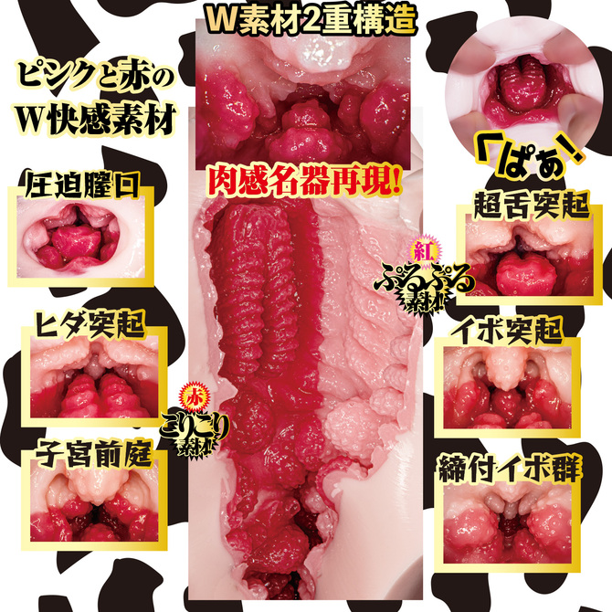 もちむち もぉ〜娘っこ。乙アリス 商品説明画像12