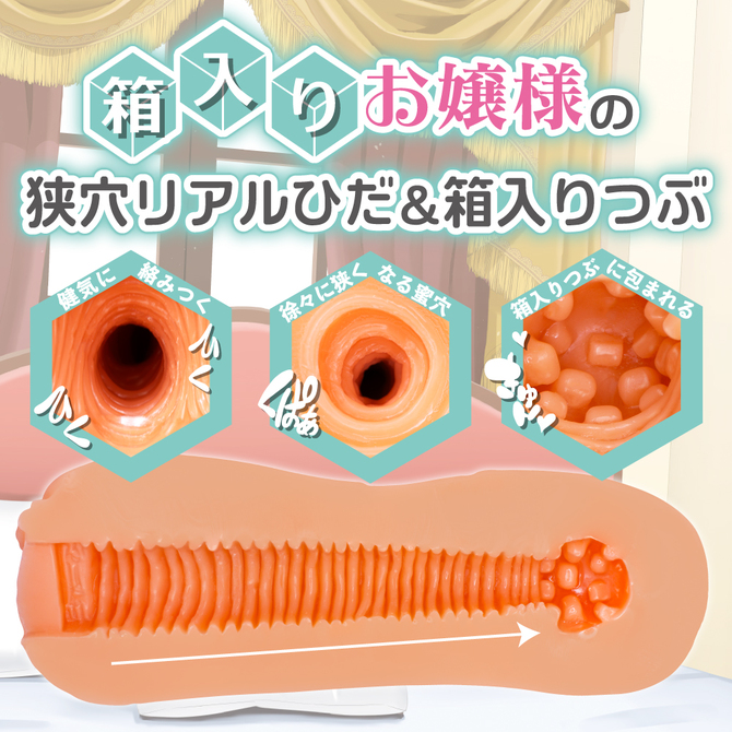 もしも 箱入りお嬢様とセックスの練習をすることになったら 商品説明画像2